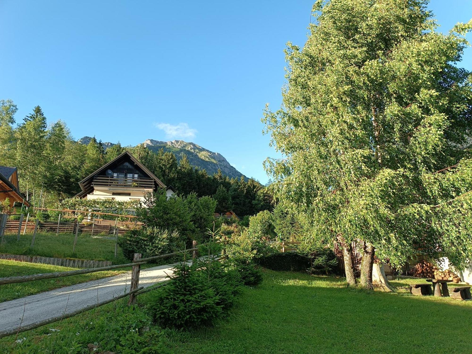 Kralj Matjaz - The Green Escape Under Alps Golnik Esterno foto